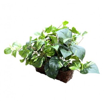 Fake Plant Hidden Camera w/ WiFi Remote View & 20 Hour Battery